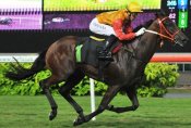 Silveon Warrior shows his winning style at Kranji.<br>Photo by Singapore Turf Club